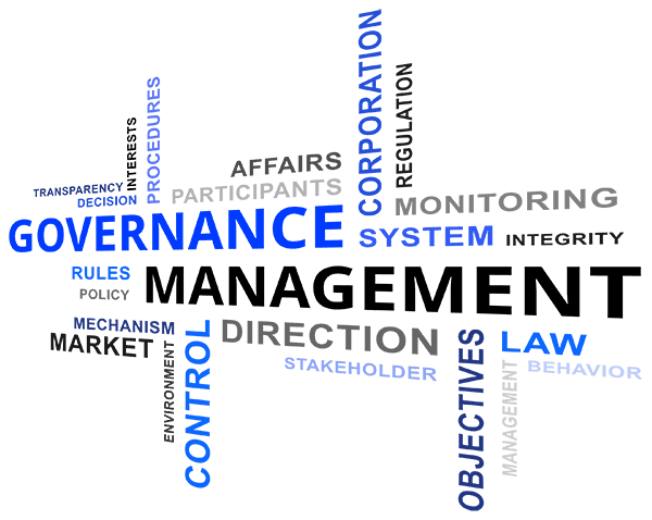 Governance and Management Word Cloud